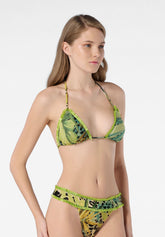 OBB00292MFA00516-01784-2